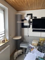 IMG_3897.jpeg