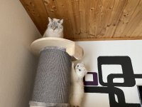 IMG_3908.jpeg