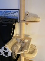 IMG_0267.jpeg