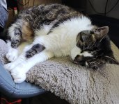 IMG_20220605_113846~2.jpg
