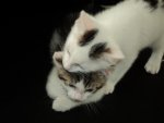 DSC0053701.jpg