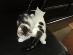 DSC0053801.jpg