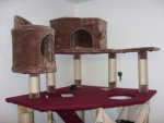 SDC12288.jpg