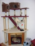 SDC12296.jpg