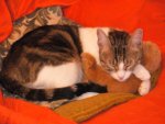 DSCN0089.jpg