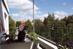 Netz1-klein.jpg Netz1-klein.jpg