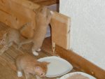 CIMG0758.jpg