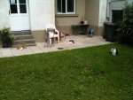 IMG_0845.jpg