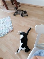 IMG-20220731-WA0006.jpg