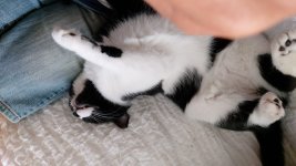 IMG-20220801-WA0001.jpg