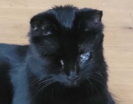 20220816_100501kl.jpg