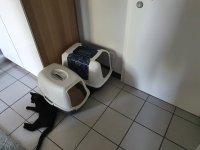 Katzentoilette 1.jpg