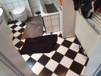 Katzentoilette 2.jpg