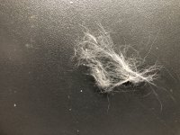 AE0032A5-934E-4F99-AC0A-93248BA7209D.jpeg