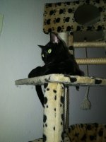 IMG_20210720_080513.jpg
