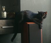 IMG_20210718_094840.jpg
