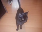 DSC00012.jpg