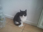 DSC00019.jpg
