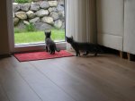 Neu 28.7.2011 080 - Kopie.jpg