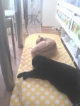 2011-06-08 16.03.20.jpg