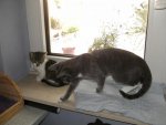 BILD0963.jpg