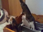 06082011663.jpg