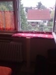 Bild0451.jpg