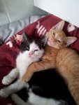 20110821_121213.jpg