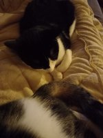 20221008_231222.jpg