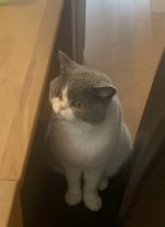 16F4FB20-1D9D-460C-82F8-B27B5FF806BF.jpeg