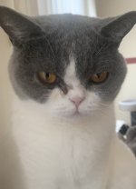 4AD11239-8F32-4BA0-A1AD-569D939DE2B7.jpeg