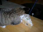 14092011202.jpg