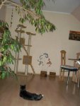 100_0962.jpg
