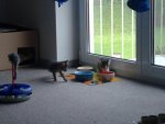 21092011380.jpg