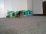 22092011389.jpg