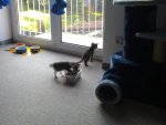 22092011401.jpg