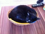 Foto(48).jpg