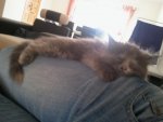 2011-08-03 10.39.44.jpg