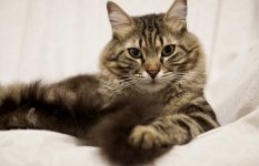0D925933-7FFD-48FD-ADAD-5603F680FB71.jpeg
