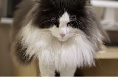 147223C5-3CAA-4E38-86A1-DC9E7619E36B.jpeg