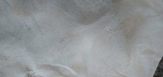 20221228_124518.jpg