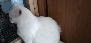 20220830_144046.jpg