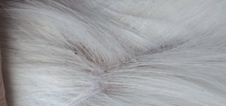 20220830_143620.jpg