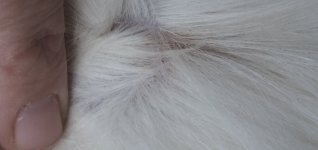 20220830_143546.jpg