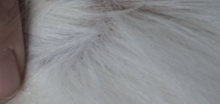 20220830_143548.jpg