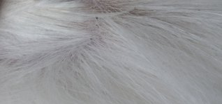 20220830_143551.jpg