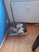 IMG-20221230-WA0000.jpg
