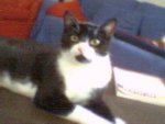 Image001.jpg