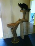 DSC00770.JPG