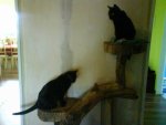DSC00773.JPG